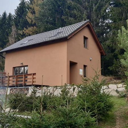 Chata Ostruzina 9 Lipno nad Vltavou Exterior photo